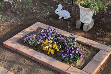 あしかがフラワーパーク