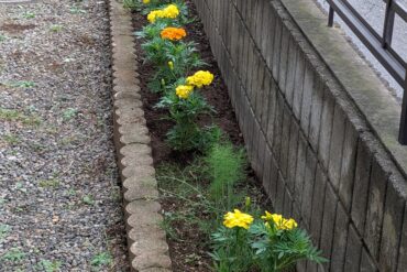 「タイアップ絵画展」