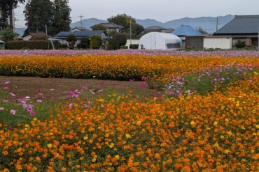 「タイアップ絵画展」終了