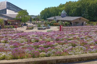 米山南公園